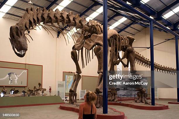 dinosaur replica at carmen funes municipal museum. - plaza huincul stock pictures, royalty-free photos & images