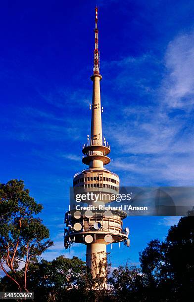telstra tower on black mountain. - canberra stock pictures, royalty-free photos & images