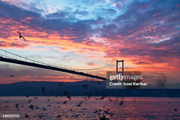 bosphorus bridge at sunrise. - istanbul bridge stock pictures, royalty-free photos & images