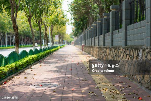 street sidewalk and fallen leaves with light effects - grass verge stock pictures, royalty-free photos & images