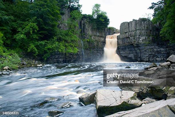 high force, england's biggest waterfall, on river tees near middleton-in-teesdale village. - tees river stock pictures, royalty-free photos & images