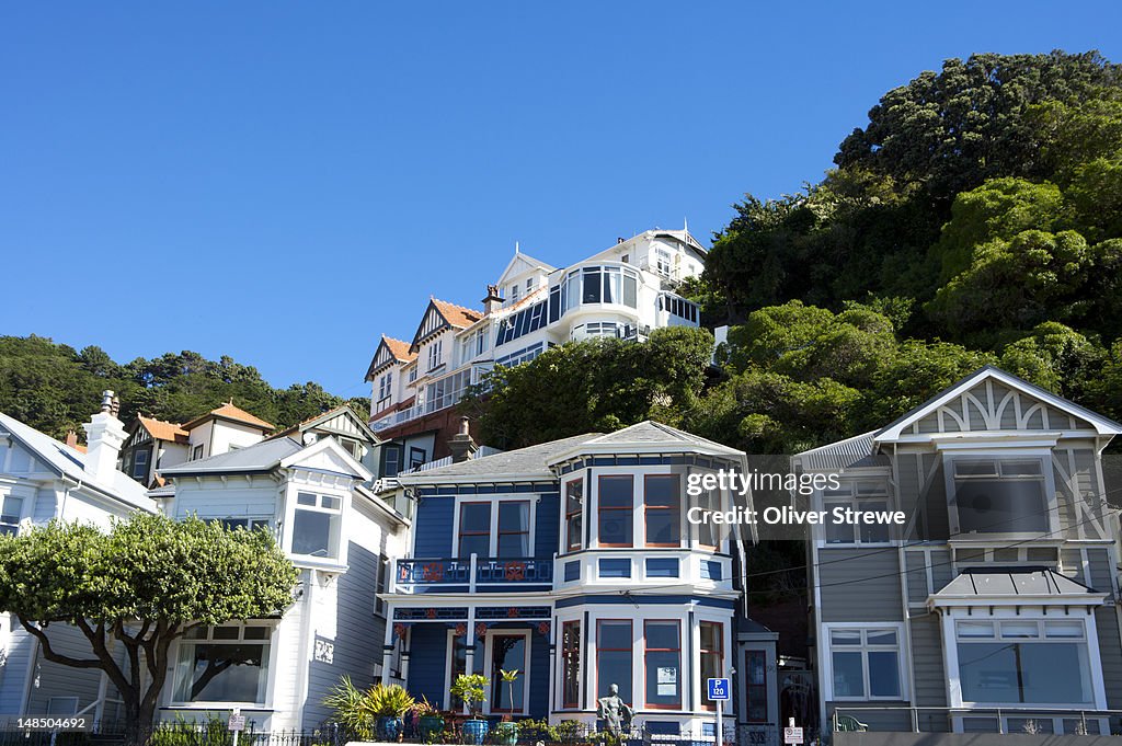 Victorian houses at Oriental Bay.
