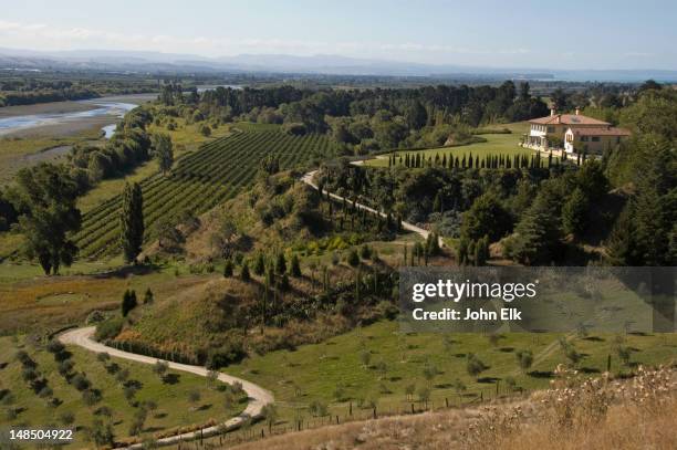 vineyards. - hawkes bay region stock pictures, royalty-free photos & images