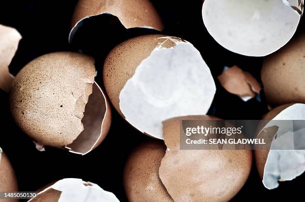 broken eggshells close up - eierschale stock-fotos und bilder