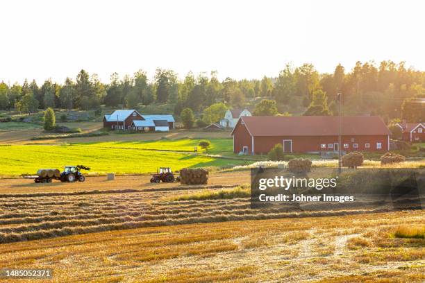 tractors collecting hay bales in field - bal odlad bildbanksfoton och bilder