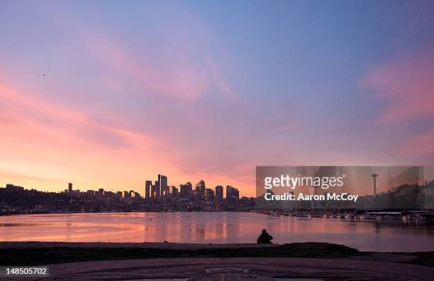 seattle skyline and lake union from gas works park at dawn. - dawn skyline stock pictures, royalty-free photos & images