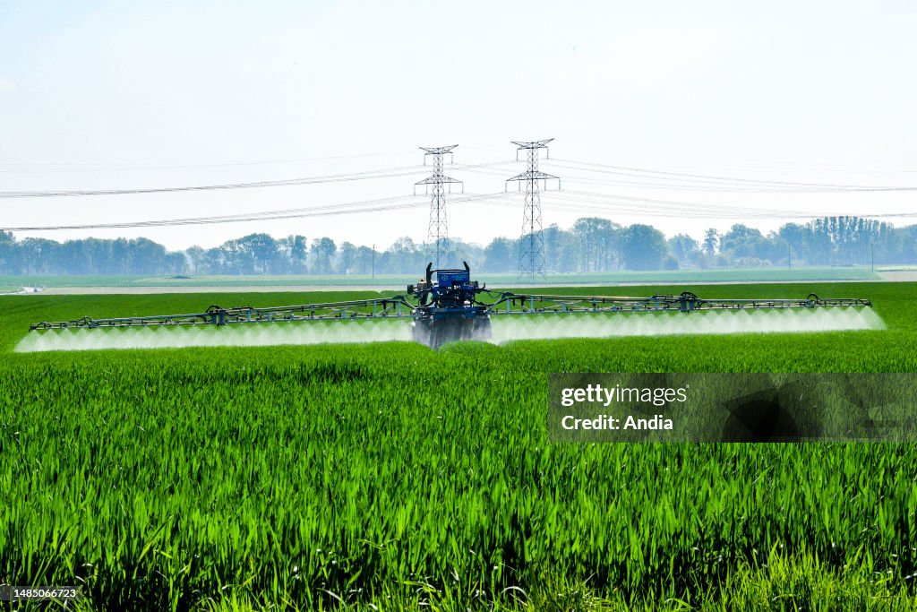 Field Getting Sprayed Pesticides sprayed on a field of cereals in the Seine-Maritime... News ...