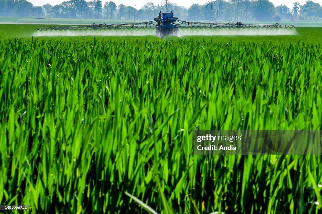 Field Getting Sprayed Pesticides sprayed on a field of cereals in the Seine-Maritime... News ...