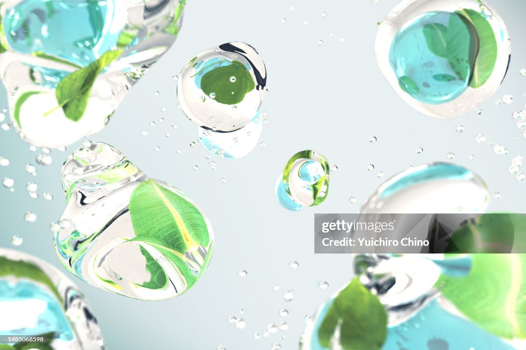 Water drop and green leaf