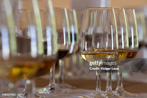 sherry tasting at bodega tio pepe gonzales byass. - sherry stock pictures, royalty-free photos & images