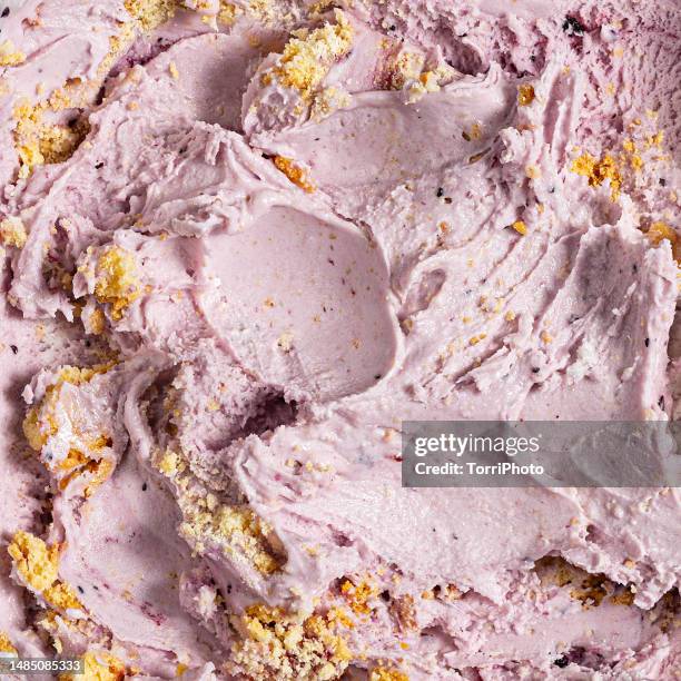 full frame texture background of berry gelato ice cream with jam and biscuits - sorvete chocolate chip - fotografias e filmes do acervo