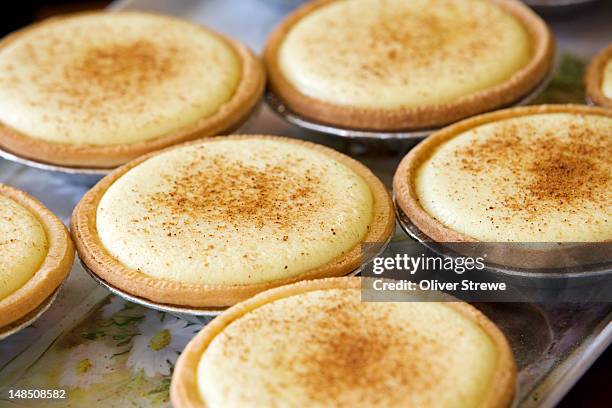custard tarts. - custard stock pictures, royalty-free photos & images