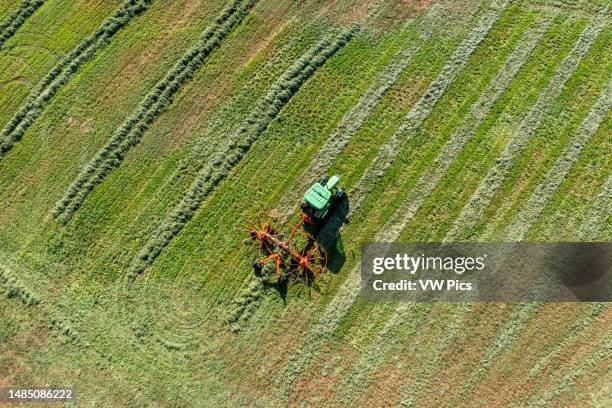 68 Windrows Stock Photos, High-Res Pictures, and Images - Getty Images