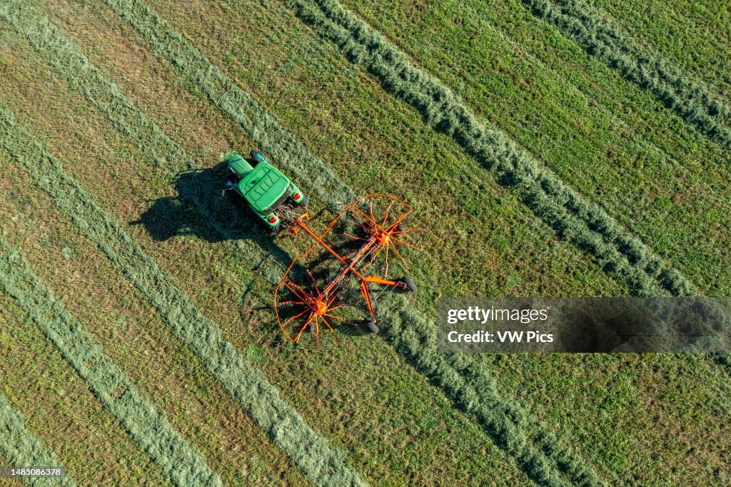 Wind Rows Opsd Aerial view of a hay raker consolidating windrows in an alfalfa field ...