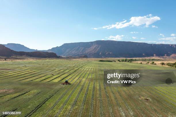 Windrows Photos and Premium High Res Pictures - Getty Images