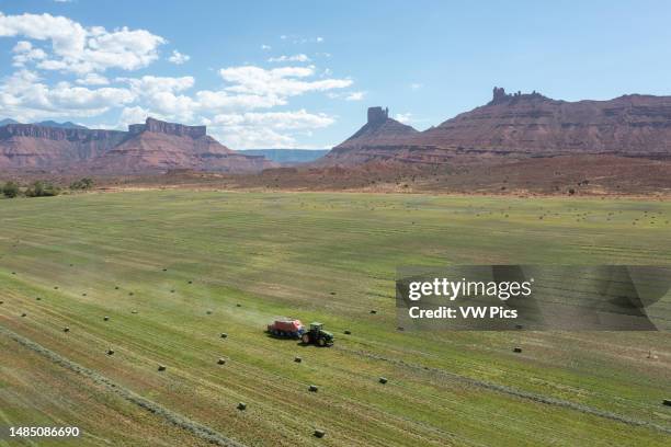 Aerial view of a rancher baling hay in an alfalfa field on a ranch in the desert near Moab, Utah.