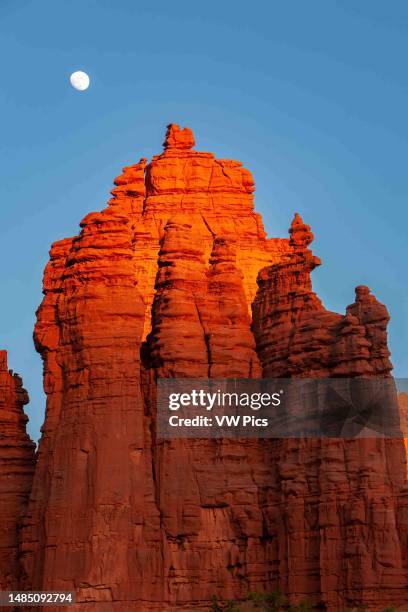 Rising moon over the Cottontail & Ancient Art in the Fisher Towers, eroded Cutler sandstone rock formations near Moab, Utah.