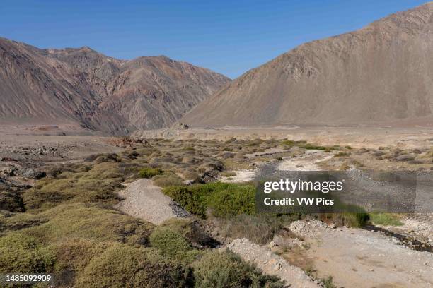 The Rio Loa or Loa River is the only river to empty into the Pacific Ocean from the Atacama Desert in northern Chile.