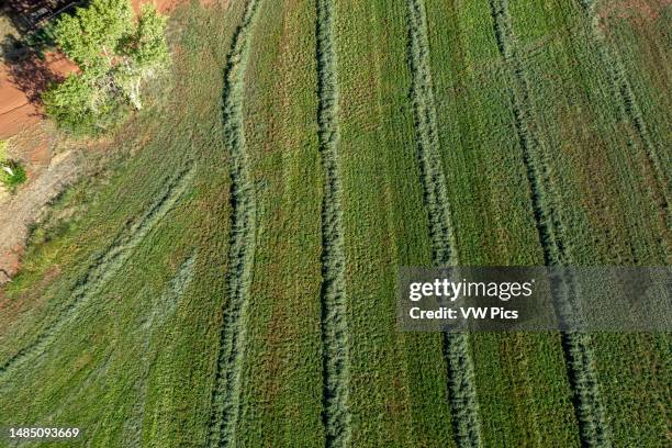 Windrows Photos and Premium High Res Pictures - Getty Images