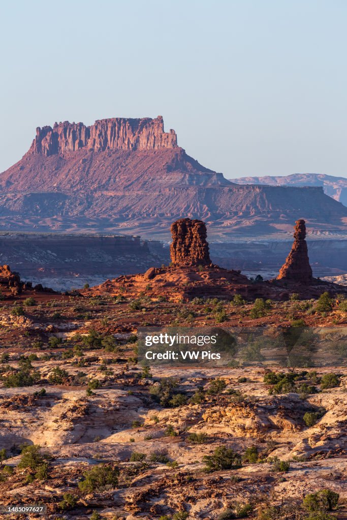 Organ Rock Shale formations in the Land of Standing Rocks, Maze District of Canyonlands NP, Utah with Ekker Butte behind