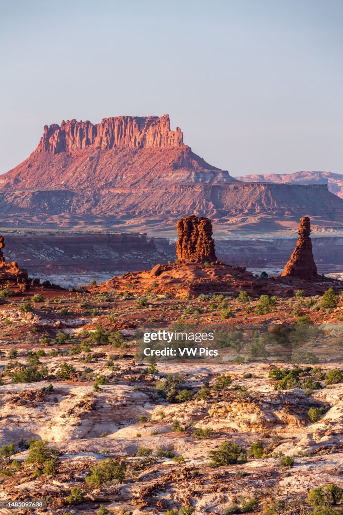 Organ Rock Shale formations in the Land of Standing Rocks, Maze District of Canyonlands NP, Utah with Ekker Butte behind