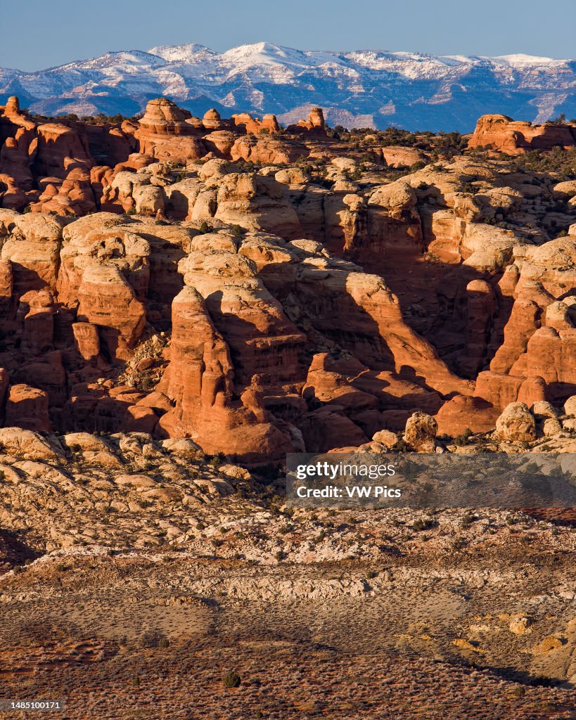 The Fiery Furnace viewed from the south in Arches National Park, Moab, Utah, with the snow-capped Book Cliffs behind