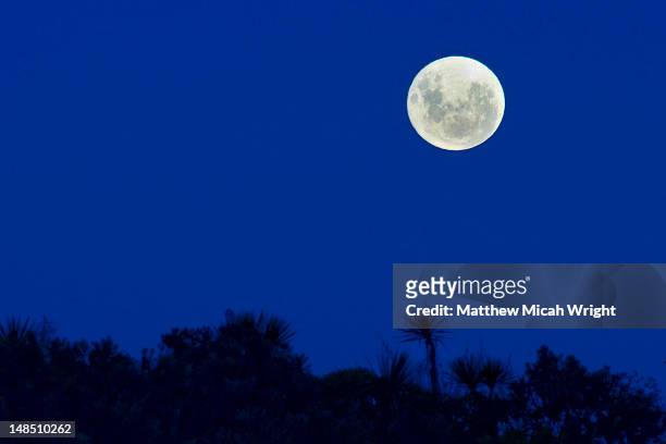 one of the largest moons of the decade, a full moon rises over the kaikoura ocean. - supermoon stock pictures, royalty-free photos & images