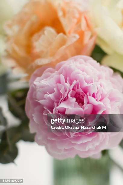 bouquet of coral peonies in vase - peonia stock-fotos und bilder