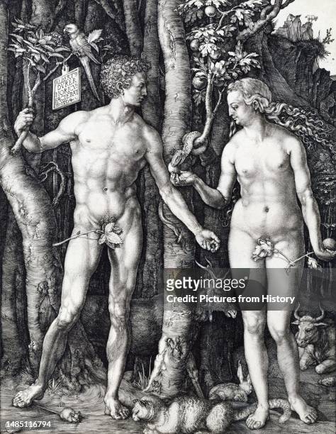 'Adam and Eve'. Copper engraving by Albrecht Durer , 1504.<br/><br/> According to the Book of Genesis, God created the universe in seven days. On the...