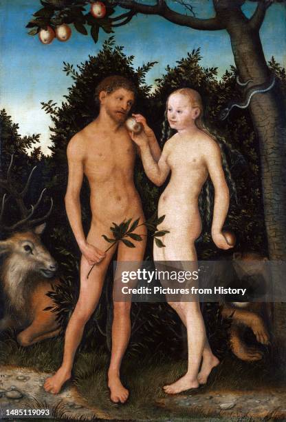 'Adam and Eve in Paradise '. Oil on copper beech wood painting by Lucas Cranach the Elder , 1531. Lucas Cranach the Elder was a German Renaissance...
