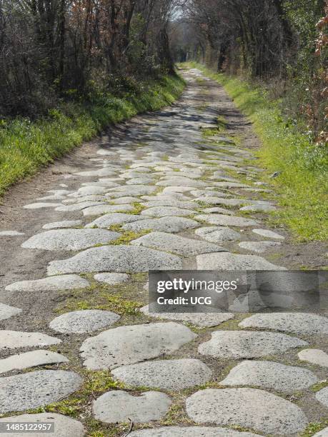 Magnificent stretch of Roman cobblestones in the Viterbo area . This stretch, which is freely accessible, is found along the route of the Via...