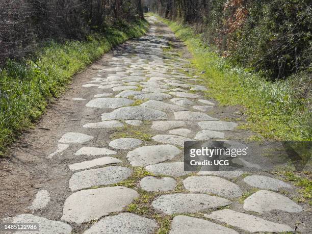 Magnificent stretch of Roman cobblestones in the Viterbo area . This stretch, which is freely accessible, is found along the route of the Via...