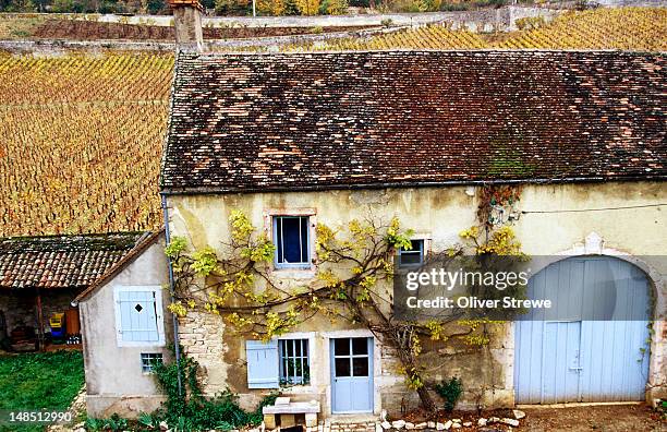 old farmhouse and vineyards. - beaune france stock pictures, royalty-free photos & images