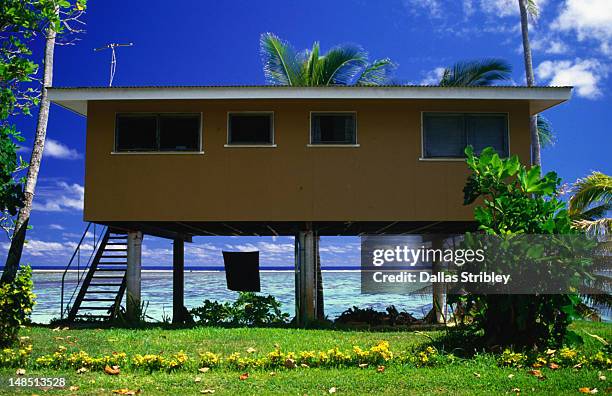 typical local architecture; stilt-house on lagoon shore. - stilts stock pictures, royalty-free photos & images