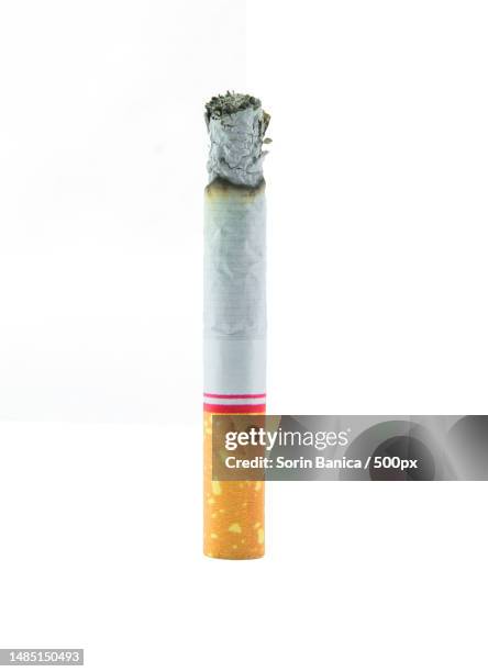cigarette burnt down to the butt on white background - cigarrillo fotografías e imágenes de stock