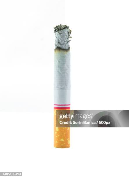 cigarette burnt down to the butt on white background - smoking death stock pictures, royalty-free photos & images