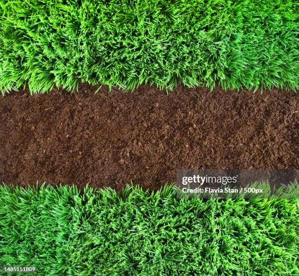 green grass and earth background,romania - sod field stock pictures, royalty-free photos & images