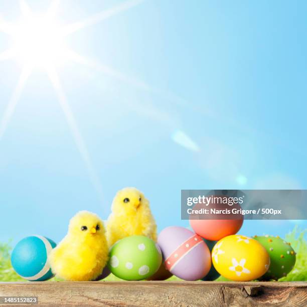 close-up of colorful easter eggs on table against sky,romania - chick egg stock-fotos und bilder