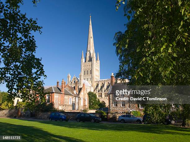 cathedral spire towering above houses in cathedral close with lawn in foreground. - norwich stockfoto's en -beelden
