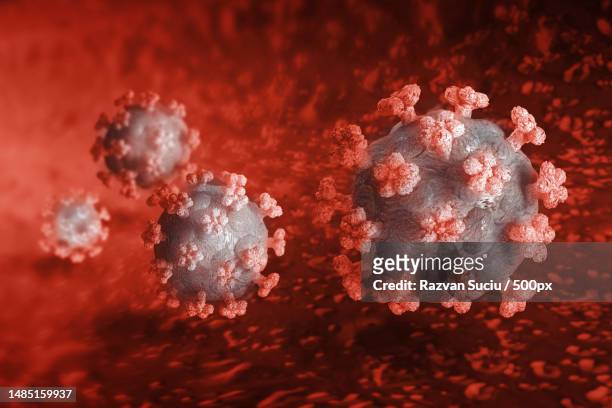 corona viruses 3 d inside an organism,romania - virus organism stock pictures, royalty-free photos & images