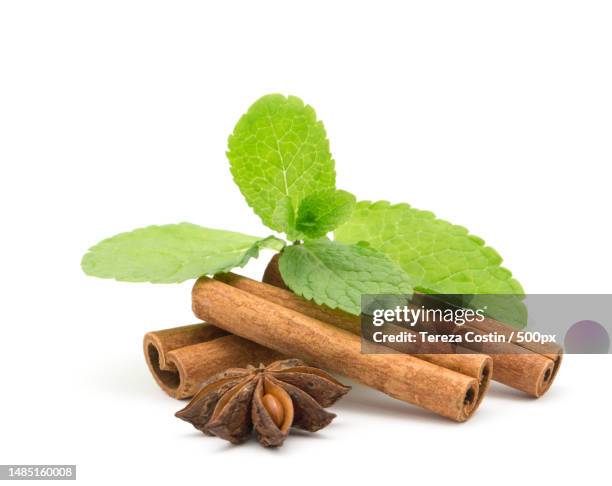 close-up of cinnamon sticks and mint leaves against white background,romania - ingredients isolated stock pictures, royalty-free photos & images