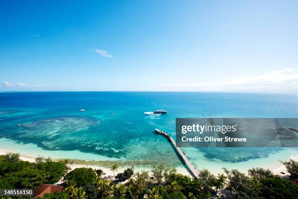 view from top of amedee island lighthouse. - neuschottland stock-fotos und bilder