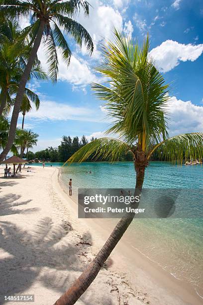 siloso beach at sentosa island. - sentosa island stock-fotos und bilder