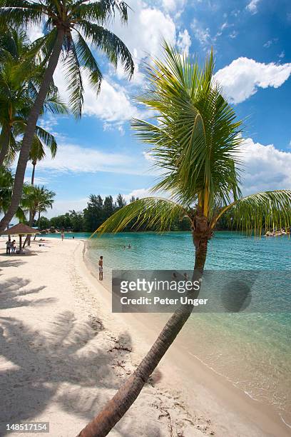 siloso beach at sentosa island. - sentosa island singapore stock pictures, royalty-free photos & images