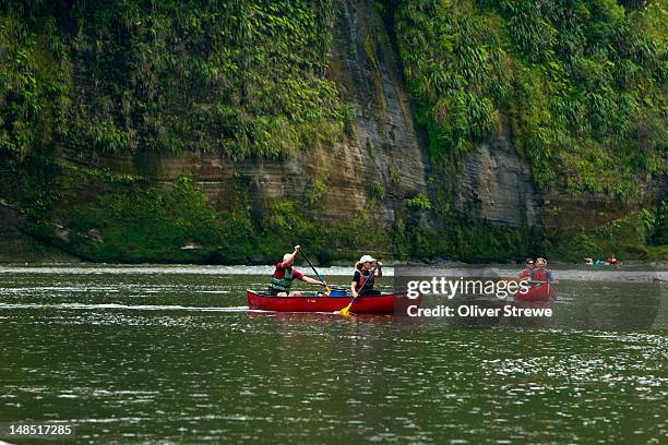 canoeing through the drop, whanganui river. - whanganui stock pictures, royalty-free photos & images