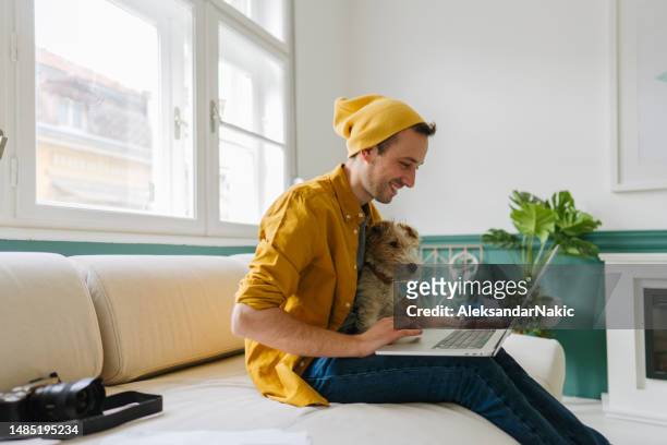 working together - man laptop dog stock pictures, royalty-free photos & images