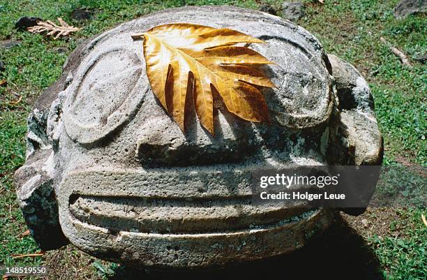 smiling tiki and breadfruit leaf, lipona archeological site. - ilhas marquesas imagens e fotografias de stock
