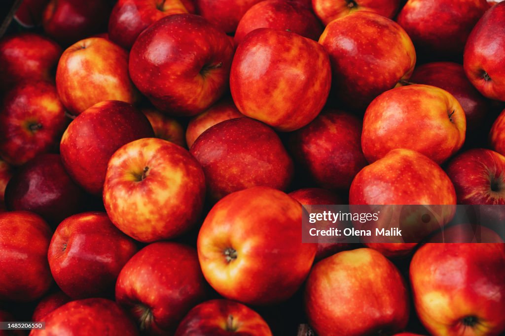 Ripe red apples at farmer market. Natural red backdrop, copy space