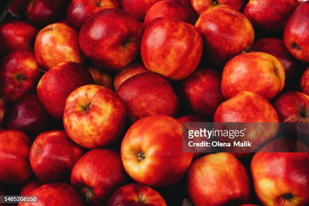 ripe red apples at farmer market. natural red backdrop, copy space - apple stock-fotos und bilder