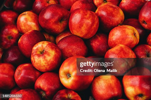 Ripe red apples at farmer market. Natural red backdrop, copy space Ripe red apples at farmer market. Natural red backdrop, copy space